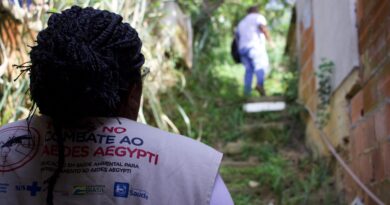 O combate ao Aedes aegypti continua em Vassouras
